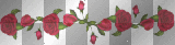 ROSE BORDER
