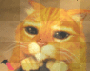 GATO