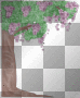 arbre lilas
