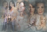 Charmed fond