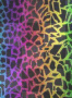 Rainbow Leopard