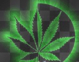 420