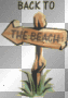 back to the beach
