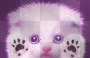 chaton violet