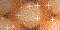 orange glitter background