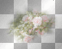 fleurs