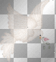 dove