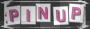 P1N UP
