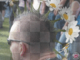 crète en fleur