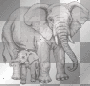 éléphants