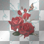 Butterfly & Roses  :-}