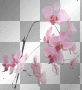 pink flowers