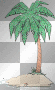 palm tree