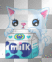 cute cat