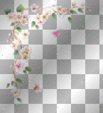 CoRner