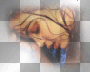 visage de femme