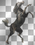 cheval