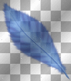 plume 