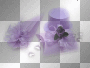 deco violet deco violet
