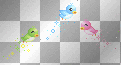 coloured birds