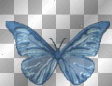 Animated Blue Butterfly  :-}