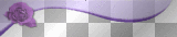 purple rose frame divider
