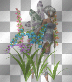 fairy