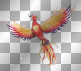 Bird Of Paradise