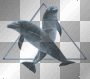 2 Dolphins In A Triangle  :-}