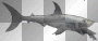Animated Shark  :-}