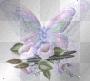 Butterflies_Paintbrushes