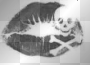 skull
