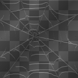 spider web 