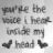 Voice