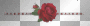 Roses w/Diamonds Divider