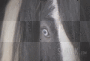 Blue Eye