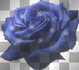 blume