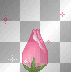 rosa3
