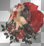 Lady Rose