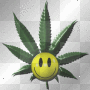 smiley weed