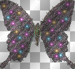 Multi-Colored Butterfly  :-}