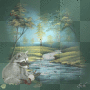 racoon