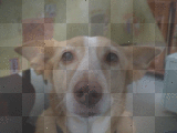 Ma bébé D'amoure 2