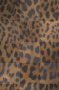 Leopard Skins