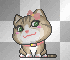 kitty