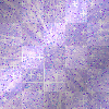 Lavender Glitter Background  **/*/