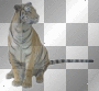 animal cat