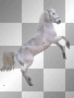 cheval