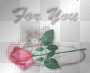 A ROSE FOR YOU