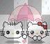 kitty